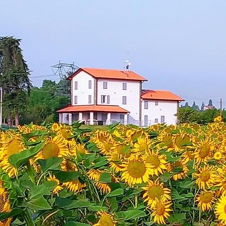 La Collinetta B&B Crespellano Bagian luar foto