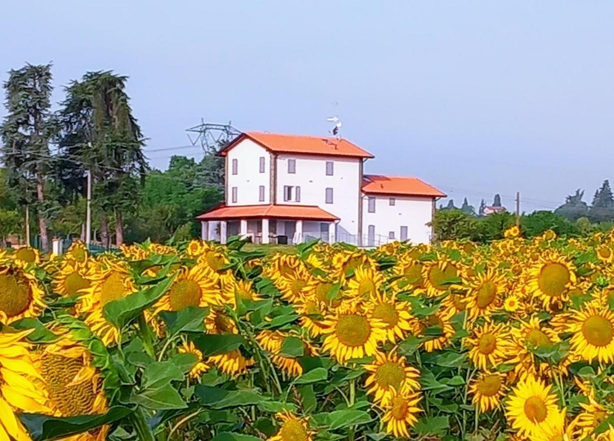 La Collinetta B&B Crespellano Bagian luar foto