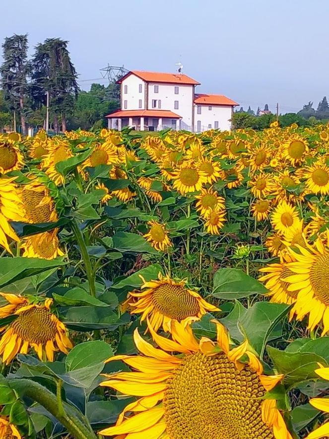 La Collinetta B&B Crespellano Bagian luar foto